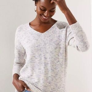 Loft Marled V-Neck Sweater Women’s Small Cotton Blend Costal Classic